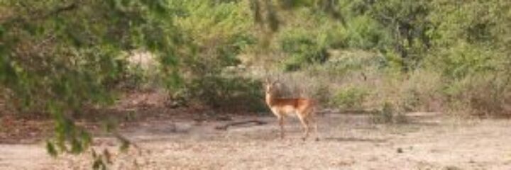 Phils Travel Services 1