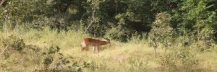 Phils Travel Services 2